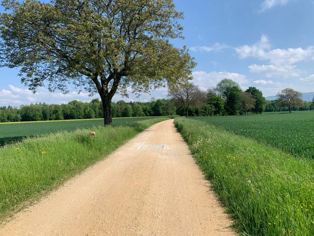 Der RLE ist das zentrale Instrument der Stadt, um landschaftsrelevante Projekte zu planen und die Interessen der Freizeit- und Erholungsnutzung mit den Anliegen des Natur- und Landschaftsschutzes zu koordinieren. Foto: zVg